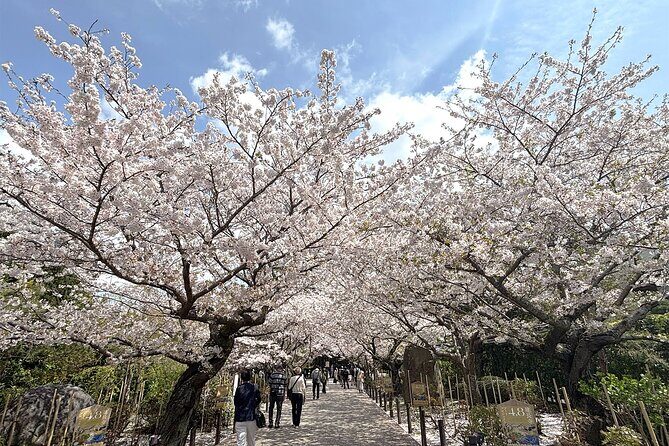 Tailored private Walking Tour in Kamakura with a Local Guide - Who Is This Tour Perfect For?