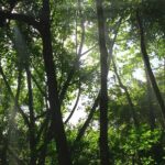 Taino Valley Tropical Park Puerto Plata Tubagua - Price and Overall Value