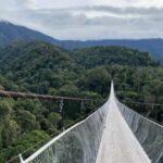 Taipei: Daxi Old Street and Tea Factory, Xiaowulai Day Tour - The Highlight: Xiaowulai Skywalk and Scenery