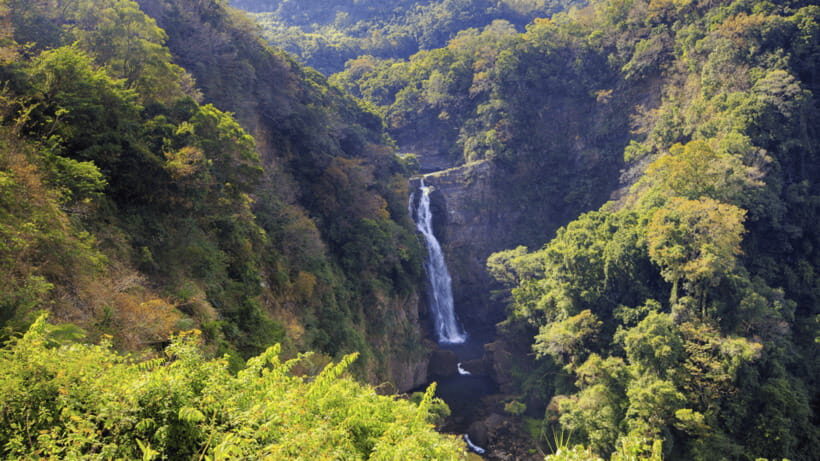 Taipei: Daxi Old Street and Tea Factory, Xiaowulai Day Tour - The Xiaowulai Skywalk and Surroundings