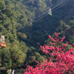 Taipei Hot Spring Tour: Wulai Old Street & Cable Car - Practical Details and What to Expect