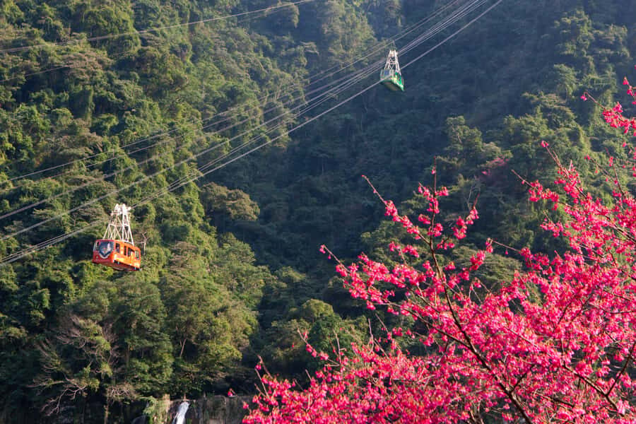 Taipei Hot Spring Tour: Wulai Old Street & Cable Car - Practical Details and What to Expect