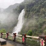Taipei: Neidong Forest, Luxury Hot Spring & Bitan Boat Ride - Who Will Love This Tour?