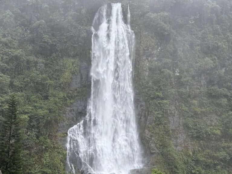 Taipei: Neidong Forest, Luxury Hot Spring & Bitan Boat Ride - Wulai Waterfall: A Classic Photo Spot