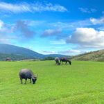 Taipei: Yangmingshan & Beitou Full-Day Tour - Practical Details and Tips