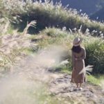 Taipei's Backyard - Yangmingshan National Park Day Tour - Practical Details & What to Know Before You Go