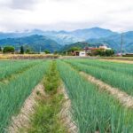 Taiwan: 10-Day Private Island Tour with 4-Star Hotels - Who Is This Tour Best For?