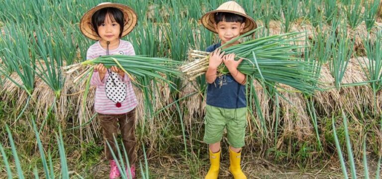 Taiwan: 10-Day Private Island Tour with 4-Star Hotels - Who Is This Tour Best For?