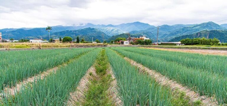 Taiwan: 10-Day Private Island Tour with 4-Star Hotels - Who Is This Tour Best For?