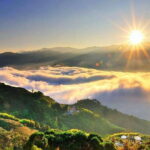 Taiwan: Alishan National Forest Recreation Area E-ticket - The Natural and Cultural Highlights