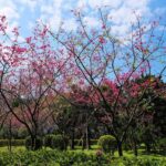 Taiwan Taipei: 8-Hour Customized Taipei City Exploration! - The Breakdown of Your Taipei Adventure