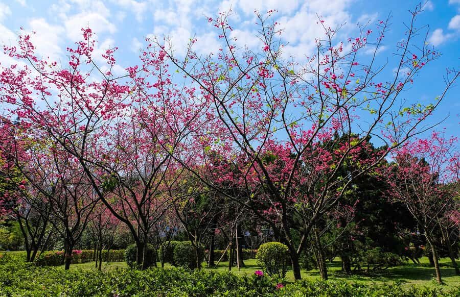 Taiwan Taipei: 8-Hour Customized Taipei City Exploration! - The Breakdown of Your Taipei Adventure