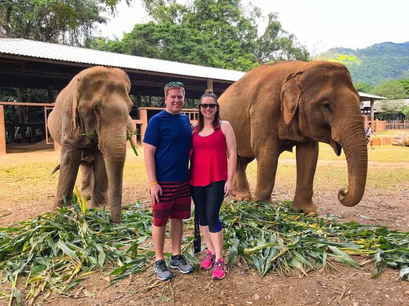 Taj Mahal Sunrise & Elephant Rescue Tour from Delhi - Practical Tips for the Tour