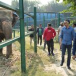 Taj Mahal Sunrise Tour from Delhi with Elephant Conservation - FAQ