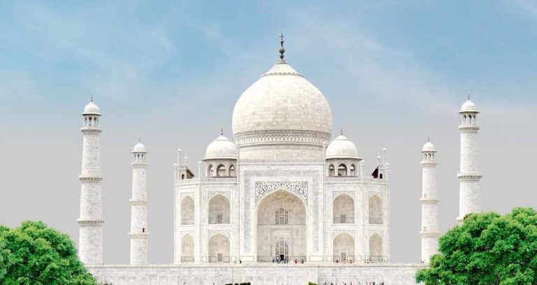 Taj Mahal Tour with Optional Wildlife Rescue Center Visit - An In-Depth Look at the Experience
