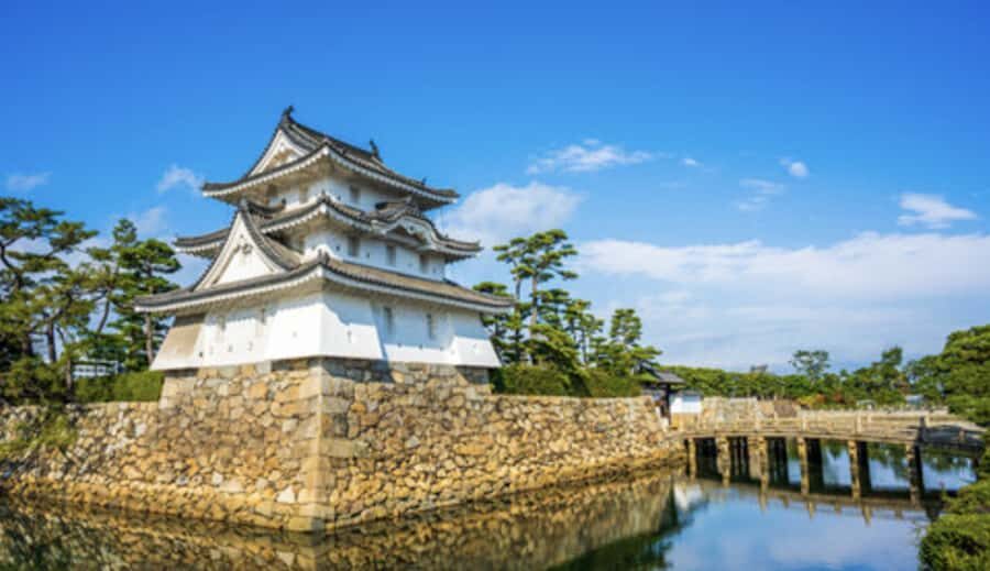 Takamatsu/Kagawa Private Custom Tour with Local Guide - What Makes This Tour Special?