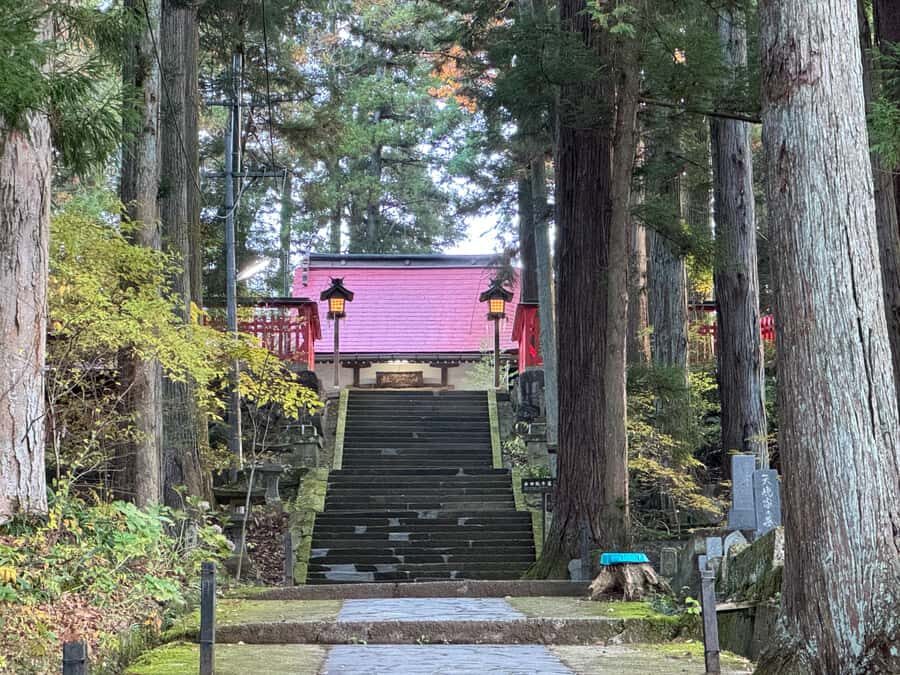 Takayama: Early Morning Guided Walking Tour & Market Visit - What to Expect in Detail