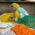 Take in the Beauty of an Early Morning with Fresh Flowers - Why Travelers Love This Tour