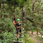 Tamborine Mountain: TreeTop Challenge Adrenaline Pass - Who Is This Tour Best For?