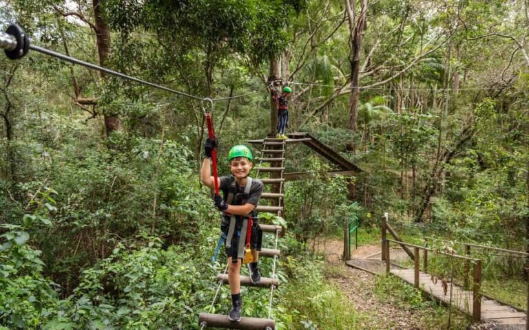 Tamborine Mountain: TreeTop Challenge Adventure Park - Practical Details and Tips for Visiting