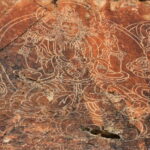 Tamgaly-Tas: A Journey to the Ancient Buddha Cliffs - Practical Details and Tips