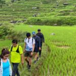 Tana Toraja: Explore Traditional Village and Nature Beauty - Discovering Pallawa: The Heart of Traditional Architecture