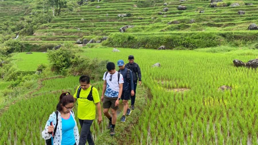Tana Toraja: Explore Traditional Village and Nature Beauty - Discovering Pallawa: The Heart of Traditional Architecture