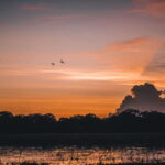 Tangalle/Hiriketiya: Yala National Park Safari in a 4x4 - Who is This Tour Best For?