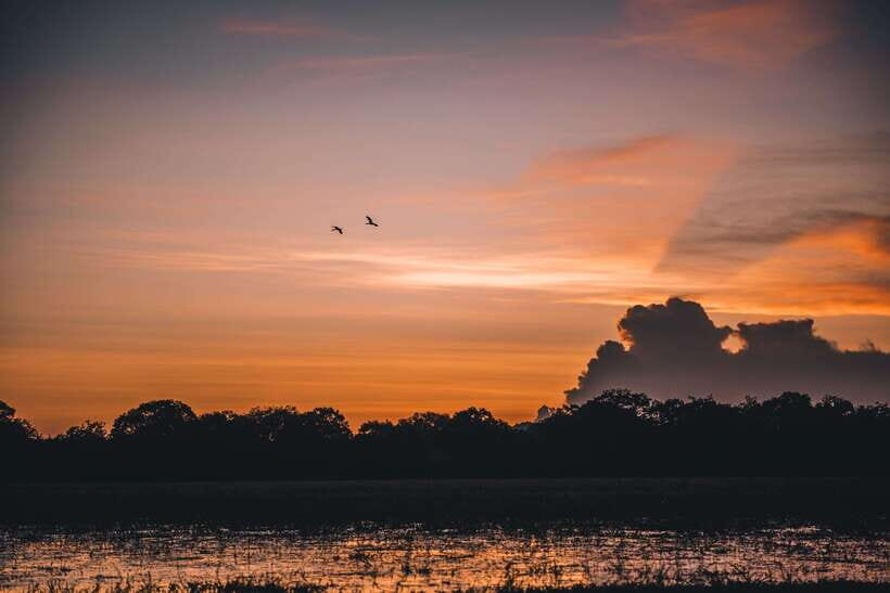 Tangalle/Hiriketiya: Yala National Park Safari in a 4x4 - Who is This Tour Best For?