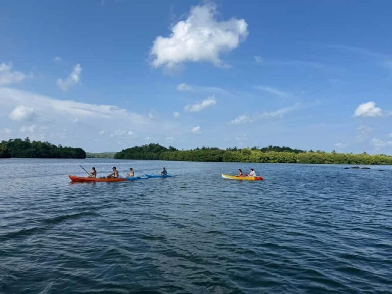 Tangalle/Mirissa: Galle Dutch Fort,Koggala Lake & Kayak Tour - The Practical Side: Transportation, Timing, and Value