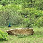 Tangalle to Katunayaka Air Port - Final Thoughts