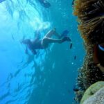 Tangsi Beach, Gili Gambir and Gili Petelu Snorkeling trip - What Makes This Tour Stand Out?