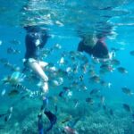 Tangsi Beach, Gili Gambir and Gili Petelu Snorkeling trip - Final Thoughts