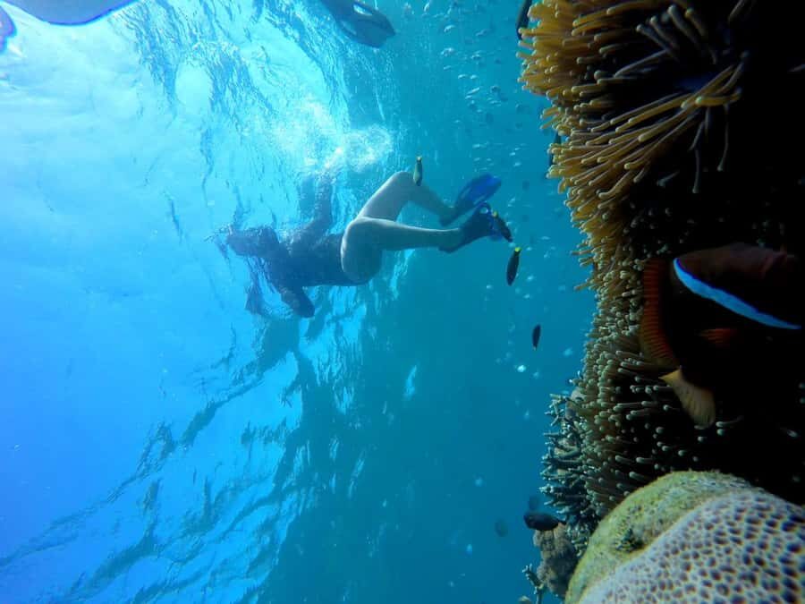 Tangsi Beach, Gili Gambir and Gili Petelu Snorkeling trip - What Makes This Tour Stand Out?