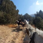 Tashkent: 3-Day Horseback Riding Tour in Chimgan Mountains - Day Two: Up and Over Chet Kumbel Pass