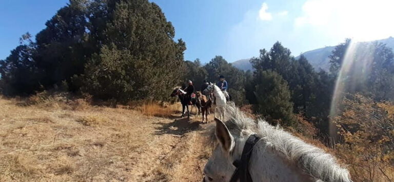 Tashkent: 3-Day Horseback Riding Tour in Chimgan Mountains - Day Two: Up and Over Chet Kumbel Pass