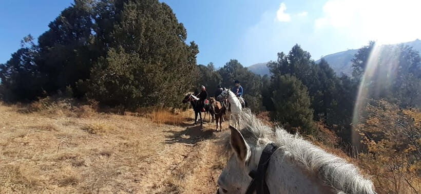 Tashkent: 3-Day Horseback Riding Tour in Chimgan Mountains - Day Two: Up and Over Chet Kumbel Pass