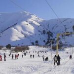 Tashkent: Chimgan Mountains and Charvak Reservoir Tour - Analyzing Value: What You Get for the Price