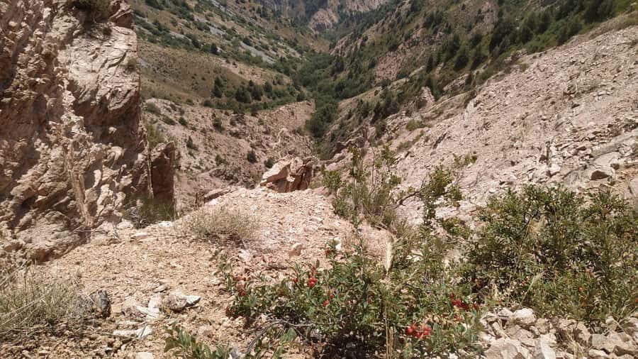 Tashkent: Tien Shan Mountains Guided Hike with Picnic - The Itinerary in Detail