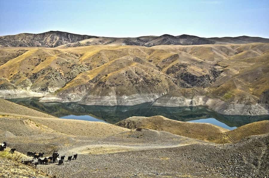 Tashkent: Zomin National Park Day Trip with Cable Car - Exploring Zomin National Park: What makes this trip special?