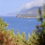 Tasman Peninsula Small-Group Guided Tour From Hobart - Why This Tour Offers Exceptional Value