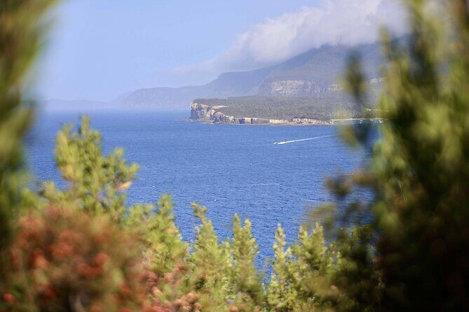 Tasman Peninsula Small-Group Guided Tour From Hobart - Why This Tour Offers Exceptional Value