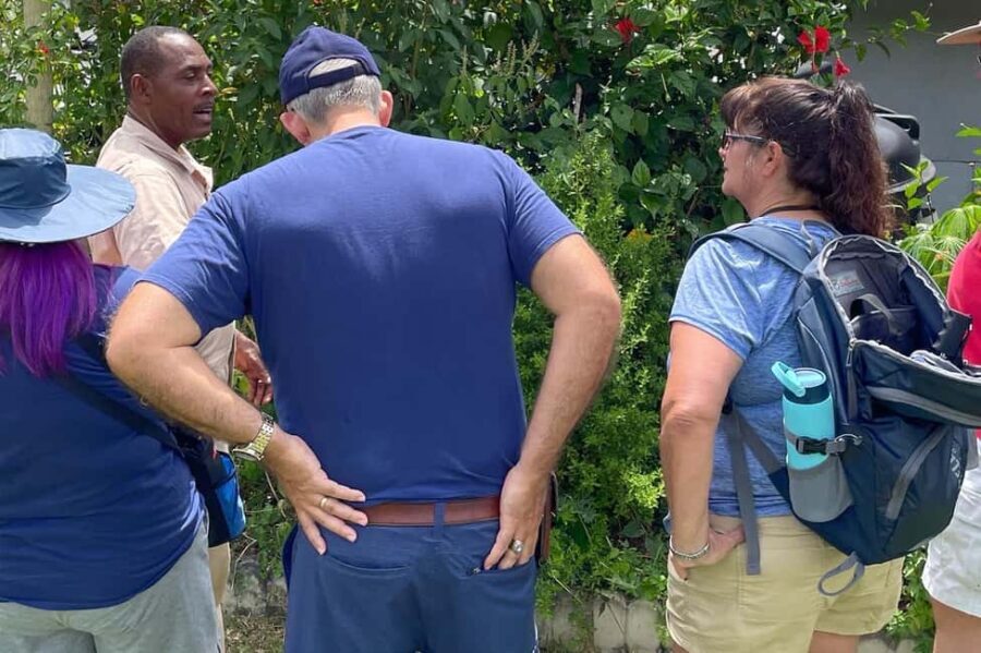 Taste of Jamaica Farm & Food Tour - The Itinerary: What You’ll Actually Do