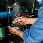 Taste of Sydney Fish Market Food Tour - The Value of the Experience