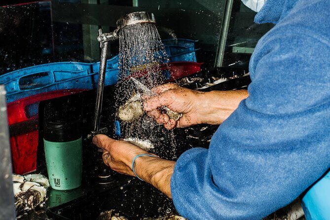 Taste of Sydney Fish Market Food Tour - The Value of the Experience