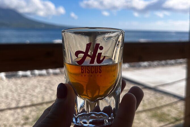 Tasting of Guadeloupe rum IGP - Final Thoughts