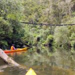 Taup: Hidden Lake Kayak Tour with Sunken Forest Views - What the Tour Includes and Practical Details