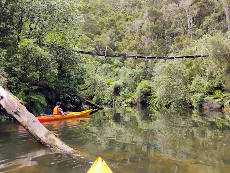 Taup: Hidden Lake Kayak Tour with Sunken Forest Views - What the Tour Includes and Practical Details