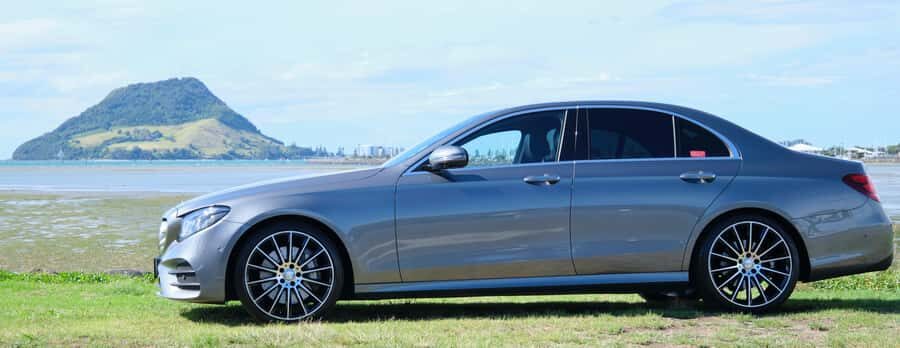 Tauranga: Kiwifruit Destination and Sights Shore Excursion - Why This Tour Works for You