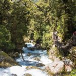 Te Anau: Lake Marian Guided Day Hike with Lunch - The Waterfalls and Forest Walk